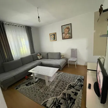 Arbnb Cuni * Polisi i Vogel